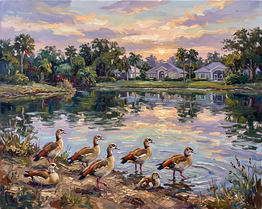 Golden Hour Gathering – Egyptian Geese by the Pond | Canvas or Paper Art Print